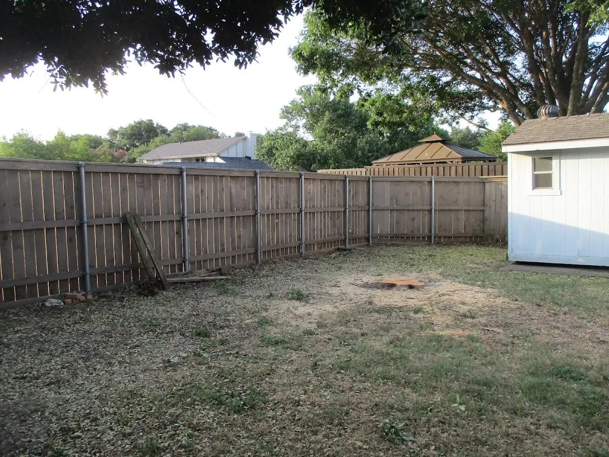 Cleared yard after professional tree removal in Mathis