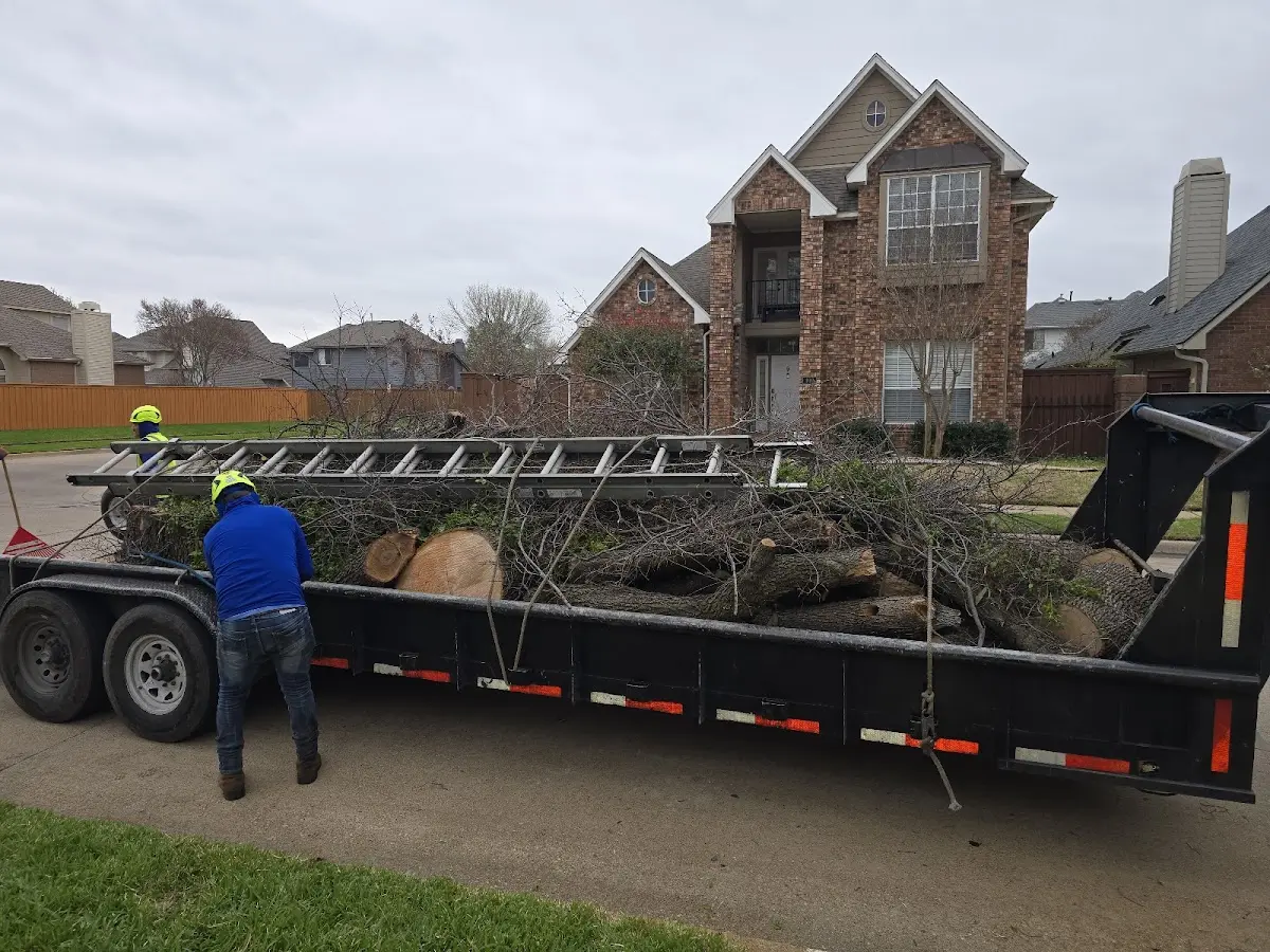 Expert Lot Clearing with proper safety equipment in Mathis